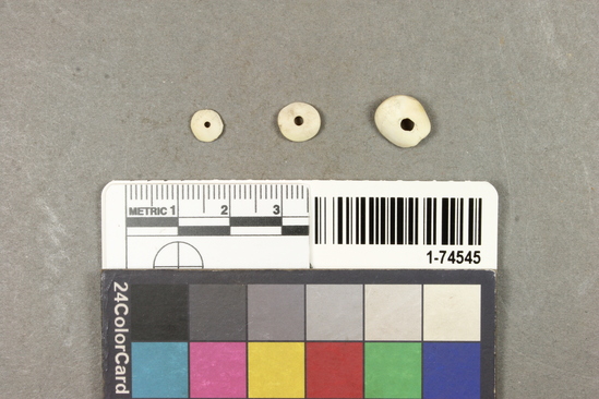 Hearst Museum object titled Beads, accession number 1-74545, described as Beads, shell