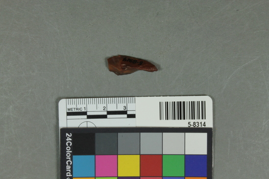 Hearst Museum object titled Flake, accession number 5-8314, described as Flake; pointed; high ridge; secondary flaking; length 2.6 cm