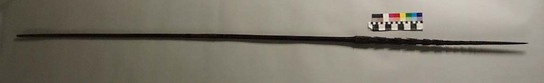 Hearst Museum object 2 of 2 titled Spear, accession number 11-2990, described as Wooden barbed spear.