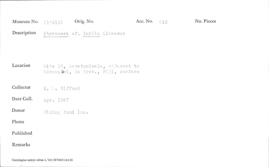 Documentation associated with Hearst Museum object titled Shell: univalve, accession number 11-5132, described as Pterocera cf. lambia Linnaeus