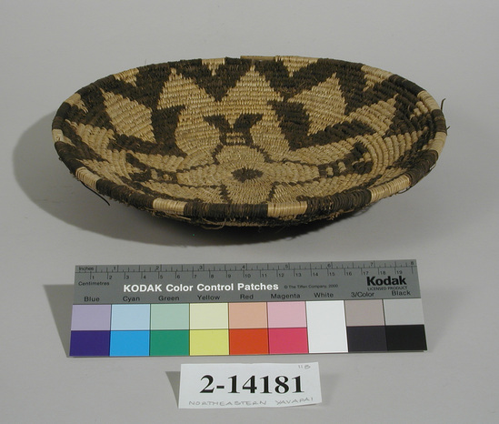 Hearst Museum object titled Basket, accession number 2-14181, described as 3-rod coiled basket with black Martynia design; unfinished.