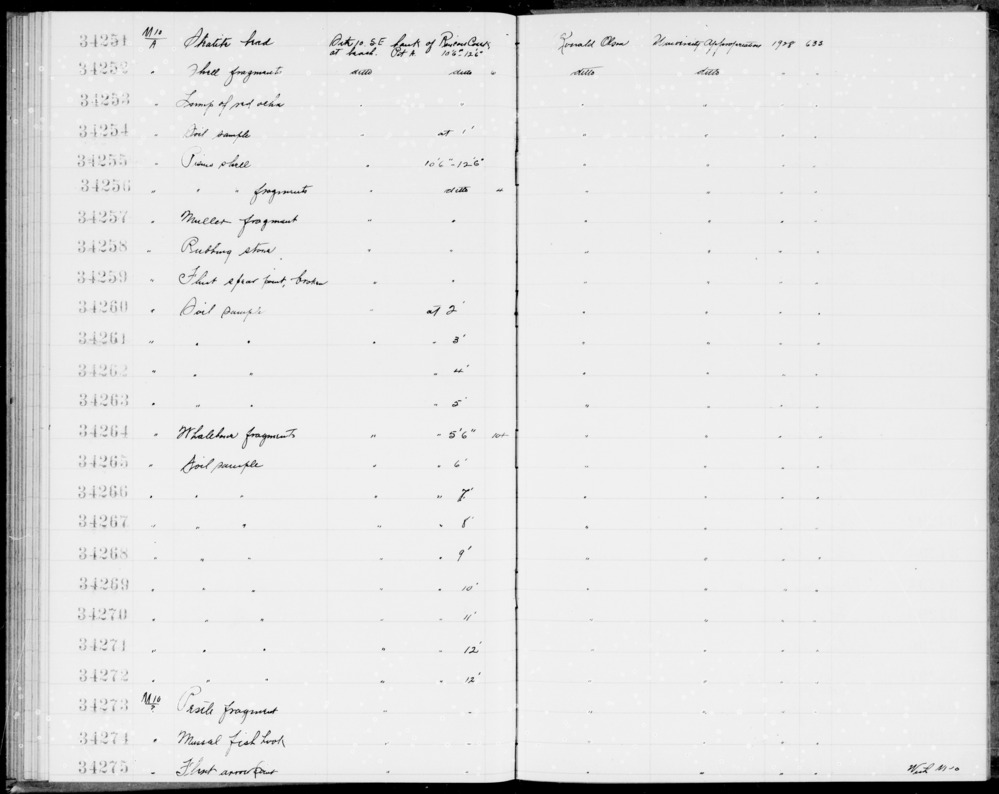 Documentation associated with Hearst Museum object titled Fishhook, accession number 1-34274, described as Mussel shell fishhook