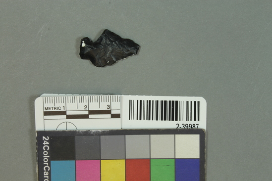 Hearst Museum object titled Projectile point fragment, accession number 2-39987, described as Obsidian projectile point fragment