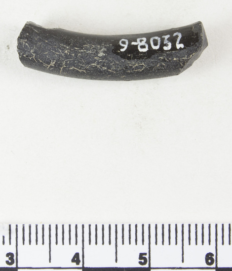 Hearst Museum object 3 of 6 titled Bracelet fragment, accession number 9-8032, described as Glass bracelet frag.; opaque black, twisted curved rod; 18 x 7 mm.