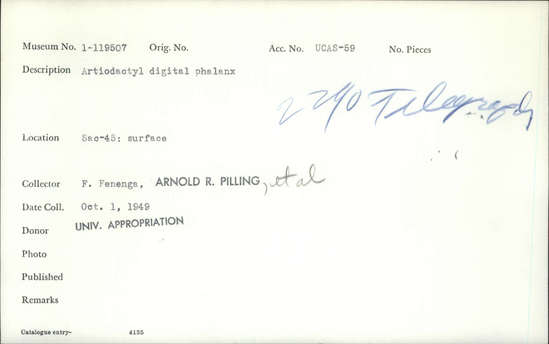 Documentation associated with Hearst Museum object titled Mammal bone, accession number 1-119507, described as Artiodactyl digital phalanx