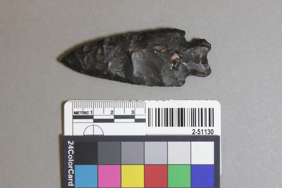 Hearst Museum object titled Projectile point, accession number 2-51130, described as Projectile point