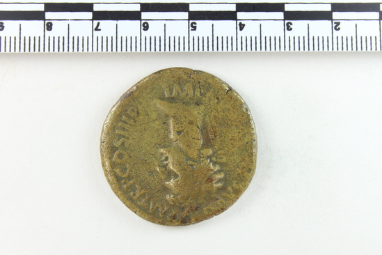 Hearst Museum object 7 of 14 titled Coin: æ sestertius, accession number 8-6029, described as Coin: Sestertius; Æ; Nerva - 21.49 grams. Obverse: IMP[NERVA CAES] AVG    PM TRP COS III PP - Head laureate facing right. Reverse: CONCORDIA EXERCITVVM-  SC; clasped hands holding legionary eagle set on prow facing left.