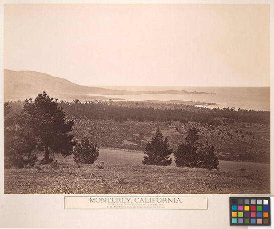 Hearst Museum object 1 of 2 titled Albumen print, accession number 13-1306c, described as Mounted photograph: Monterey, California; Ocean View of Point Lobos and Carmel Bay. No.45 New Series