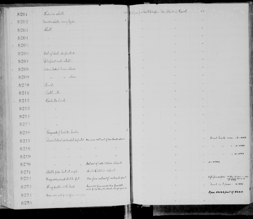 Documentation associated with Hearst Museum object titled Fishhook, accession number 1-8214, described as haliotis fishhook