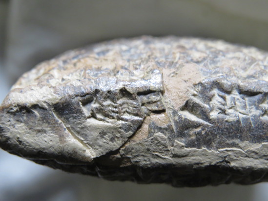 Hearst Museum object 48 of 187 titled Cuneiform tablet, accession number 9-2919, described as Mesopotamian cuneiform tablet