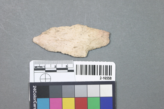 Hearst Museum object titled Point, accession number 2-16558, described as Chert point