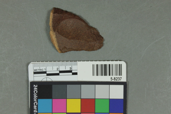 Hearst Museum object titled Flake, accession number 5-8237, described as Flake; unifacial; asymmetric triangular outline; cortex at base; secondary flaking on thin edges; length 4.9 cm