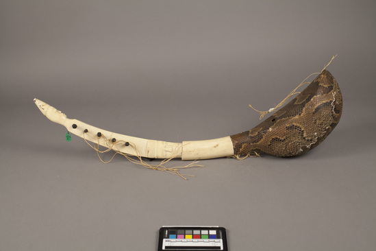 Hearst Museum object titled Harp, ivory, snake skin, accession number 5-13175, described as harp, ivory + snake skin