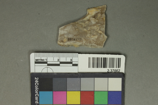 Hearst Museum object titled Flake, accession number 2-37002, described as Small flake scraper; chert