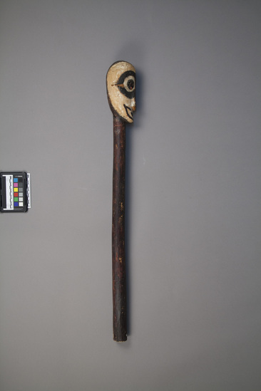 Hearst Museum object 2 of 2 titled Stick, carved wood head, accession number 11-42728, described as Stick, wood, carved head on top, jequirity seed eyes, black and white painted face, knotted fiber through nose, ear. 84.0 cm. Called "Gordon Stick" by donor, collector.