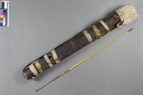 Hearst Museum object titled Arrow, quiver, accession number 5-4124a-e, described as A) Quiver; tree bark with hide wrappings; leather carrying thong; cylindrical shape; 52 cm long; contains (B-D) and (E). B-D) 3 arrows with straw shafts, wooden foreshafts, and iron points. B) 46.7 cm long. C) 50 cm long. D) 45.7 cm long. E) Bundle of 30 straws for arrows.