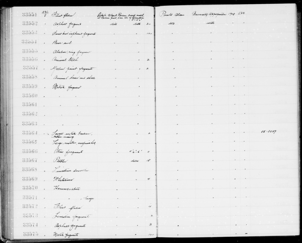 Documentation associated with Hearst Museum object titled Awl, accession number 1-33554, described as Bone.