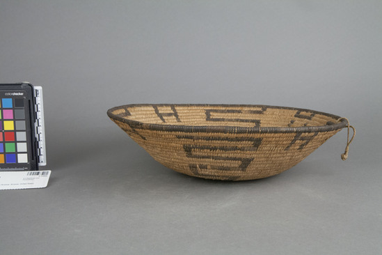 Hearst Museum object 2 of 3 titled Basket, accession number 2-13994, described as Coiled shallow basket, black design.