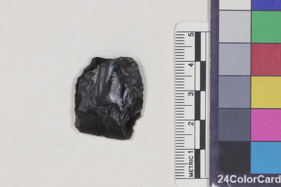 Hearst Museum object 1 of 2 titled Projectile point fragment, accession number 16-14336, described as Projectile point fragment; obsidian; triangular; weight: 4.35 grams; length: 2.85 cm; width: 2.36 cm; depth: 0.61 cm; convex sides; broken base.