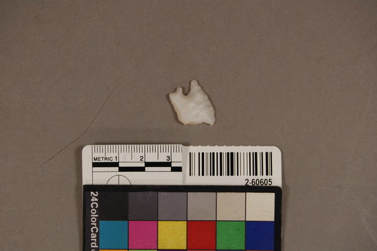 Hearst Museum object titled Projectile point, accession number 2-60605, described as No description given on catalog card.