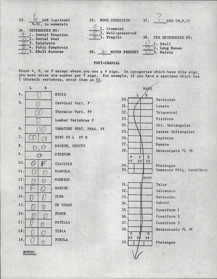 Documentation associated with Hearst Museum object titled Human remains, accession number 12-8748(0), described as Remains of one child (6 year old).