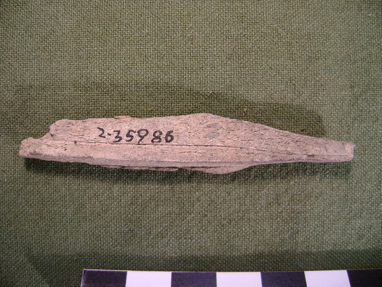 Hearst Museum object 2 of 2 titled Mammal bone, accession number 2-35986, described as Deer metapodial