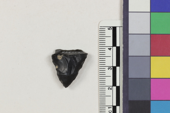 Hearst Museum object 2 of 2 titled Flake fragment, accession number 16-14379, described as Projectile point fragment; obsidian; triangular; weight: 2.12 grams; length: 1.99 cm; width: 1.8 cm; depth: 0.69 cm.