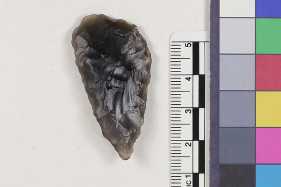 Hearst Museum object 1 of 2 titled Flake, accession number 16-14396, described as Projectile point fragment; obsidian; triangular; weight: 7.3 grams; length: 4.56 cm; width: 2.3 cm; depth: 0.85 cm; convex sides; irregular convex, thinned base.