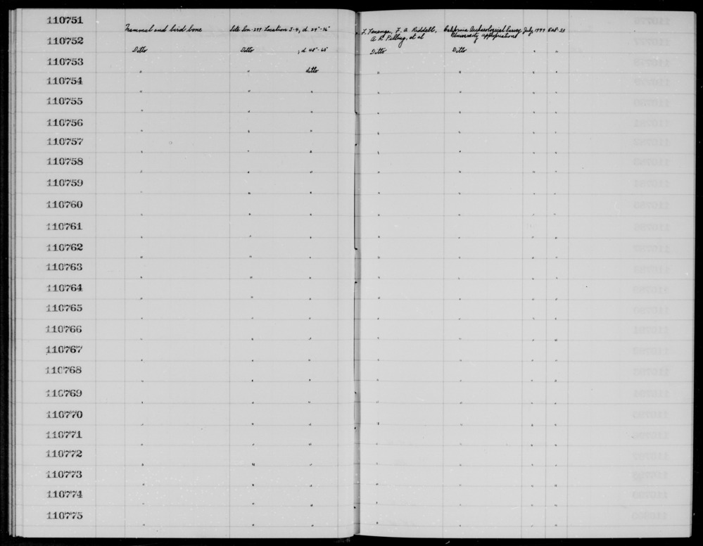 Documentation associated with Hearst Museum object titled Faunal remains, accession number 1-110754, described as Mammal and bird.