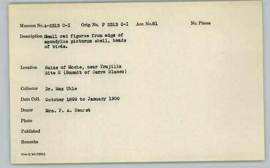 Documentation associated with Hearst Museum object titled Figures, accession number 4-2313b, described as Small red figures from edge of Spondylus pictorum shell, body and wings of birds.