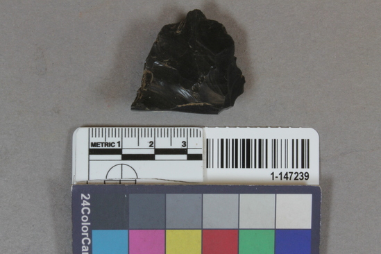 Hearst Museum object titled Flake, accession number 1-147239, described as worked obsidian