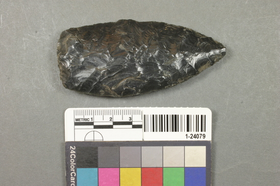 Hearst Museum object titled Point, accession number 1-24079, described as Obsidian spear point