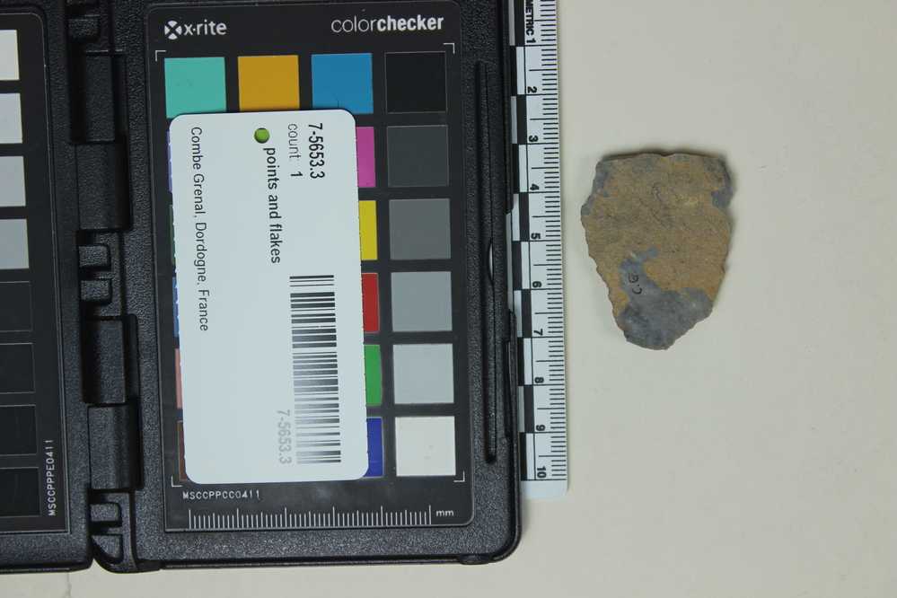 Hearst Museum object titled Points and flakes, accession number 7-5653.3, no description available.