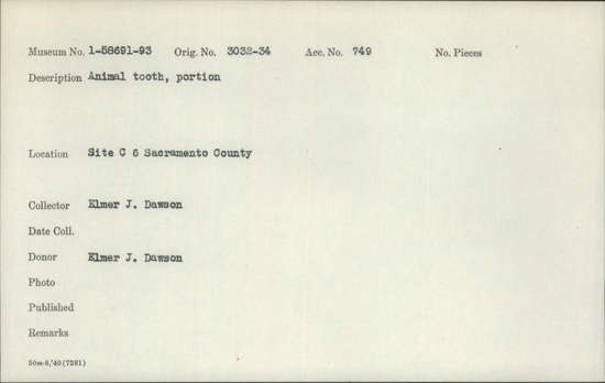 Documentation associated with Hearst Museum object titled Tooth, accession number 1-58693, described as Animal, portion