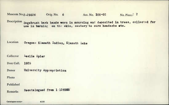 Documentation associated with Hearst Museum object titled Bands, accession number 2-29526, described as Sagebrush bark bands worn in mourning and deposited in trees, collected for use in burning on the skin, cautery to cure headache etc.