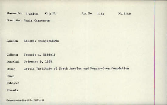 Documentation associated with Hearst Museum object titled Mammal bone, accession number 2-36248, described as Canis cancaneum.