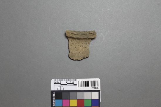 Hearst Museum object titled Potsherd, accession number 2-16876, described as Sherd; rim small jar, contracted neck, added rim strap, notched lip, grit tempered