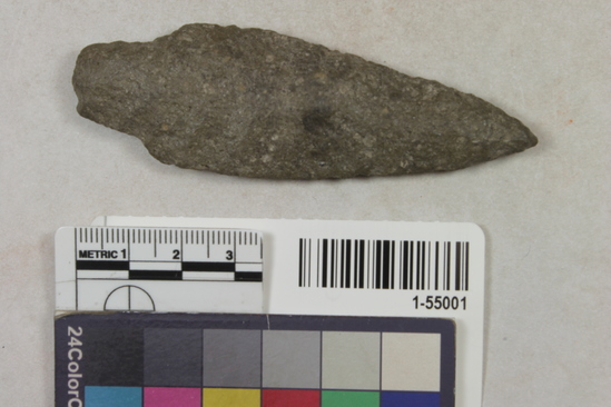 Hearst Museum object titled Spearhead, accession number 1-55001, described as Grey lava