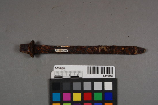 Hearst Museum object titled Bolt, accession number 1-159996, described as Rusted iron round bolt with square head and screw threads and chisel like tip