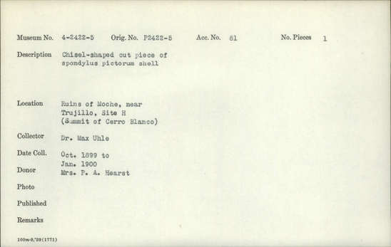 Documentation associated with Hearst Museum object titled Worked shell, accession number 4-2422, described as Chisel-shaped cut piece of Spondylus pictorum shell.