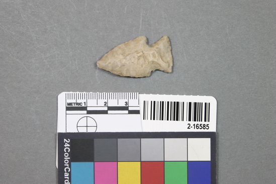Hearst Museum object titled Point, accession number 2-16585, described as Chert point