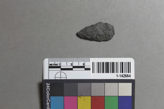 Hearst Museum object titled Projectile point, accession number 1-142664, described as Projectile point.