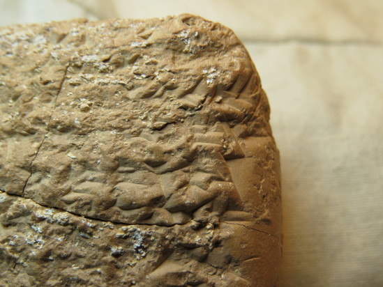 Hearst Museum object 83 of 132 titled Cuneiform tablet, accession number 9-2586, described as Neo-Babylonian Document from Erech