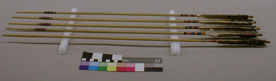 Hearst Museum object titled Arrows, accession number 1-1576a-j, described as Arrows carried in brush dance