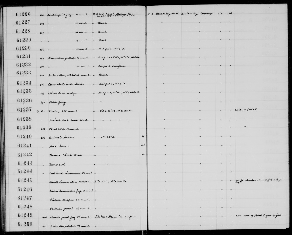 Documentation associated with Hearst Museum object titled Sinker stone, accession number 1-61250, described as sinker stone: notched, 73mm l.