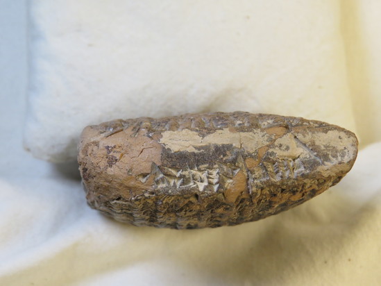 Hearst Museum object 19 of 187 titled Cuneiform tablet, accession number 9-2919, described as Mesopotamian cuneiform tablet