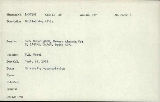 Documentation associated with Hearst Museum object titled Worked bone, accession number 1-37451, described as Drilled dog tibia.