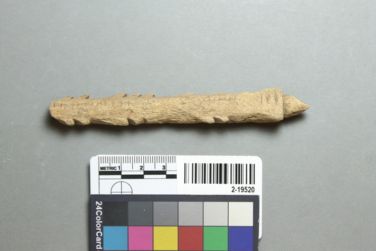 Hearst Museum object titled Projectile fragments, accession number 2-19520, described as Made of bone.