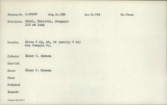 Documentation associated with Hearst Museum object titled Shell fragment, accession number 1-55657, described as Shell fragment, Haliotis; 110 mm long