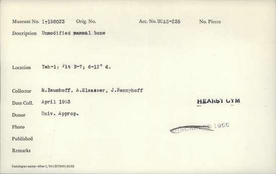 Documentation associated with Hearst Museum object titled Faunal remains, accession number 1-156023, described as Unmodified, mammal.